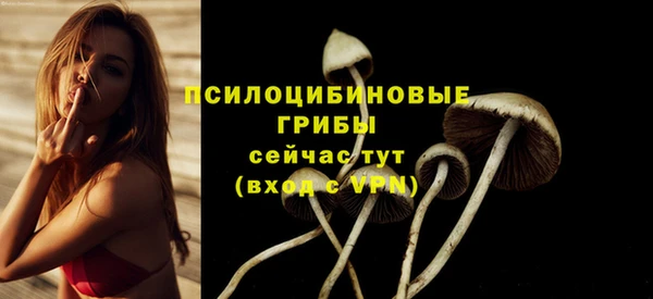 скорость Алексеевка