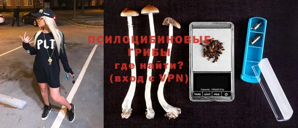 apvp Алексин