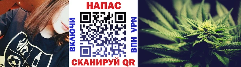 кракен вход  Алупка  Бошки Шишки план 
